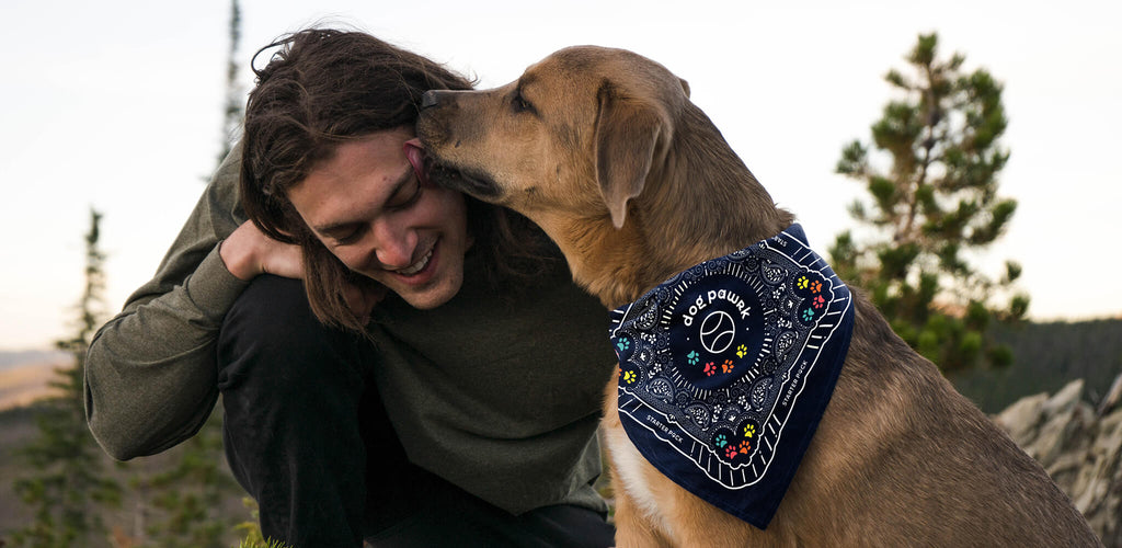 Dog wearing Dog Pawrk bandana licking a man's face