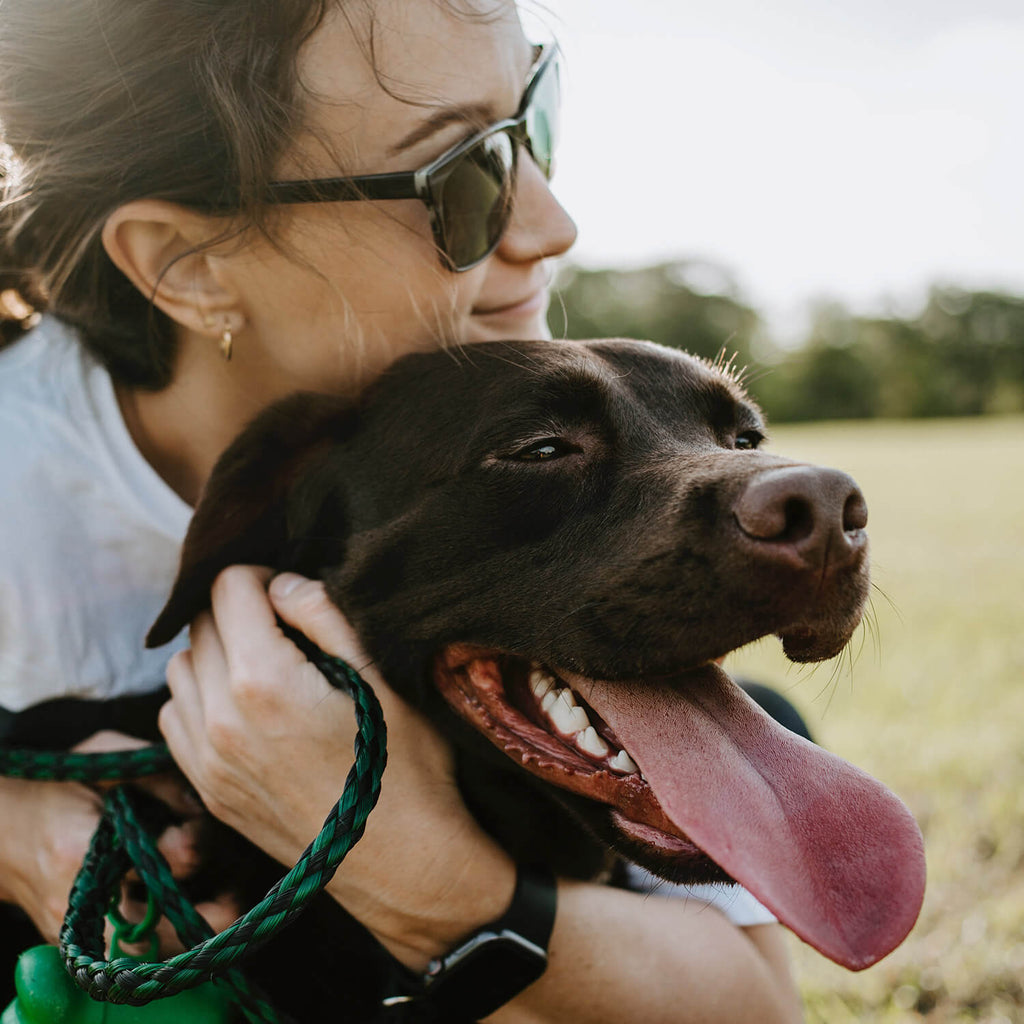 Woman hugging chocolate labrador in a park