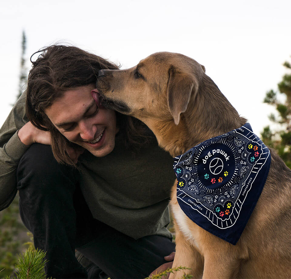 Dog wearing a dog pawrk bandana licking a man's face